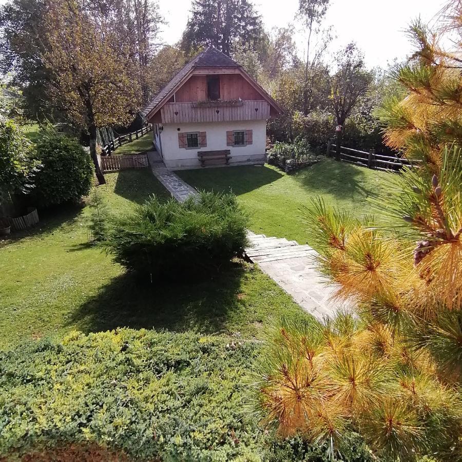 Vila Jana Radovljica Luaran gambar